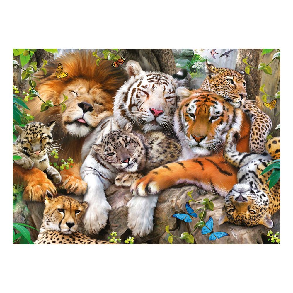 Big store cat puzzle