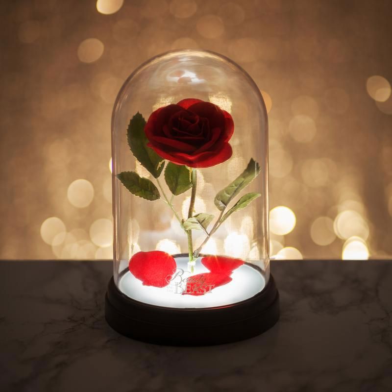 Endlessly mine top rose lamp
