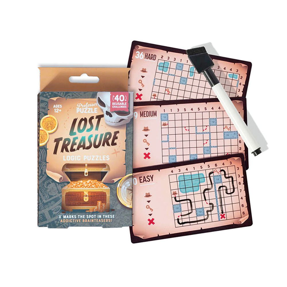 Lost Treasure Professor Puzzle Logic Puzzles