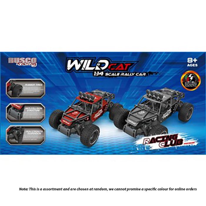 Cat remote store control car