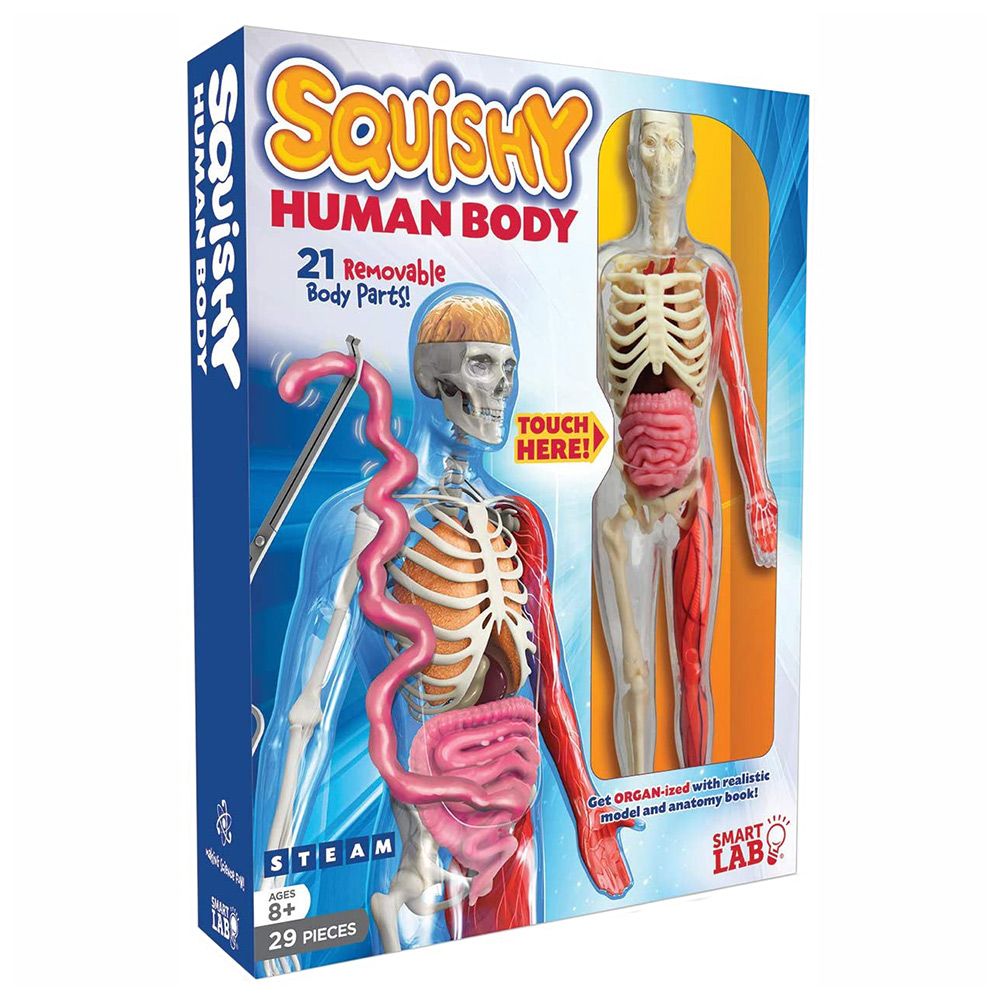 Human body discount educational toys