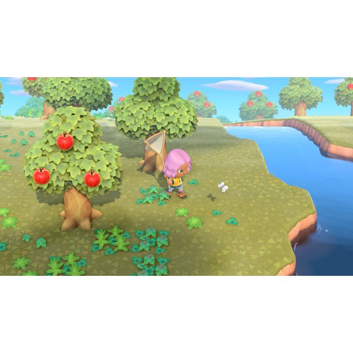 Animal Crossing New Horizons Switch