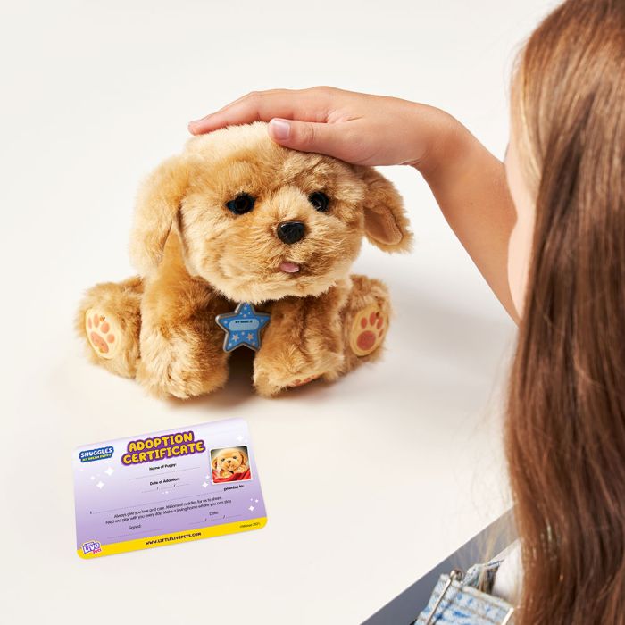 Snuggles live pet puppy sale