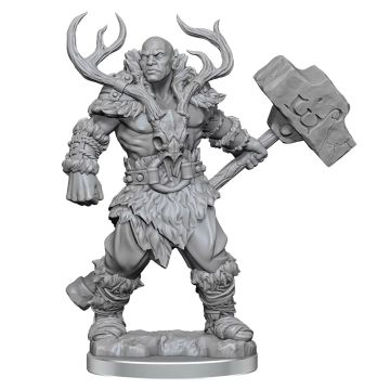 Dungeons & Dragons Frameworks Goliath Barbarian Male