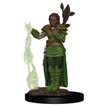 Dungeons & Dragons Human Female Druid Premium Figure
