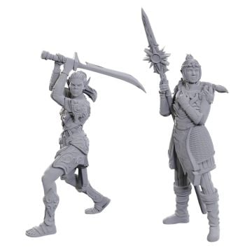 Dungeons & Dragons: Nolzur's Marvelous Miniatures Laezel & Shadowheart Baldur's Gate 3 Special Edition