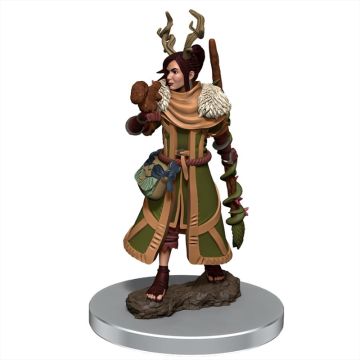 Dungeons & Dragons Premium Female Human Druid Pre-Painted Figure