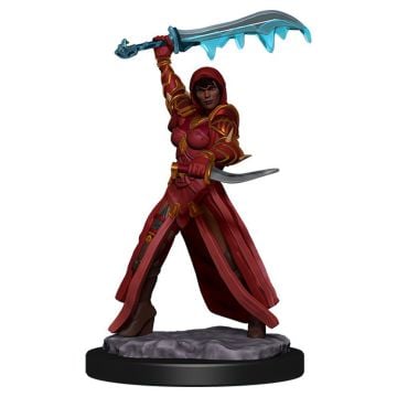 Dungeons & Dragons Premium Female Human Rouge Pre-Painted Figure
