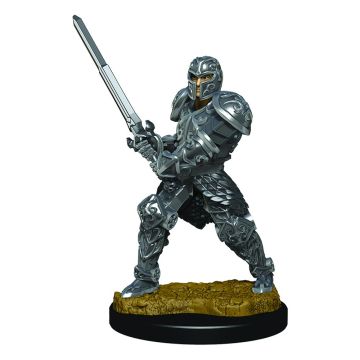 Dungeons & Dragons Premium Male Human Fighter Pre-Painted Figure