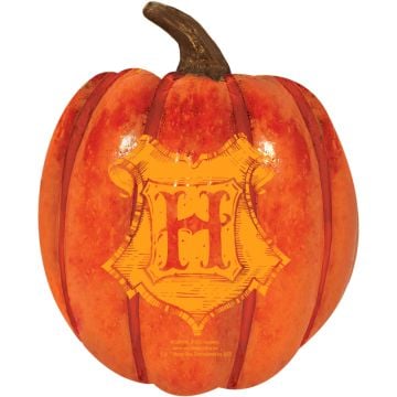 Harry Potter Foam Pumpkin Decoration