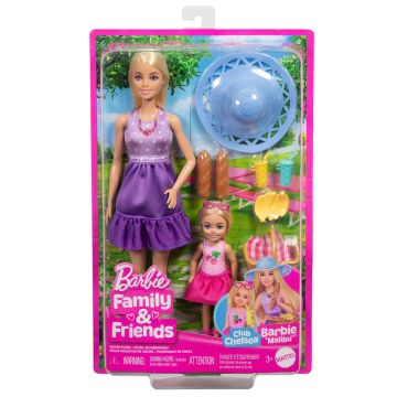 Barbie Family & Friends Club Chelsea Barbie Malibu Sister Picnic