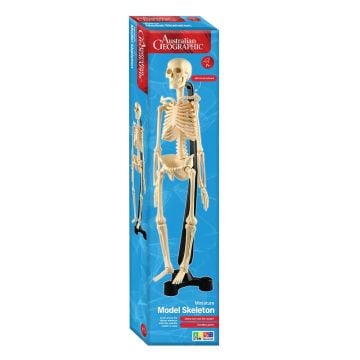 Australian Geographic Mini-Skeleton