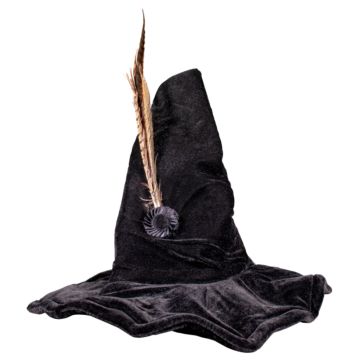 Harry Potter Professor McGonagall Hat