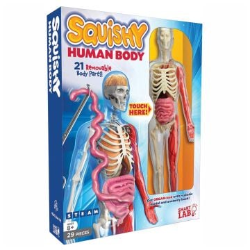 SmartLab Toys Squishy Human Body Educational Toy (Image 1)