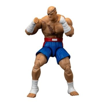 Street Fighter II The Final Challengers Sagat 6" Action Figure (Image 1)